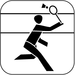 badminton250